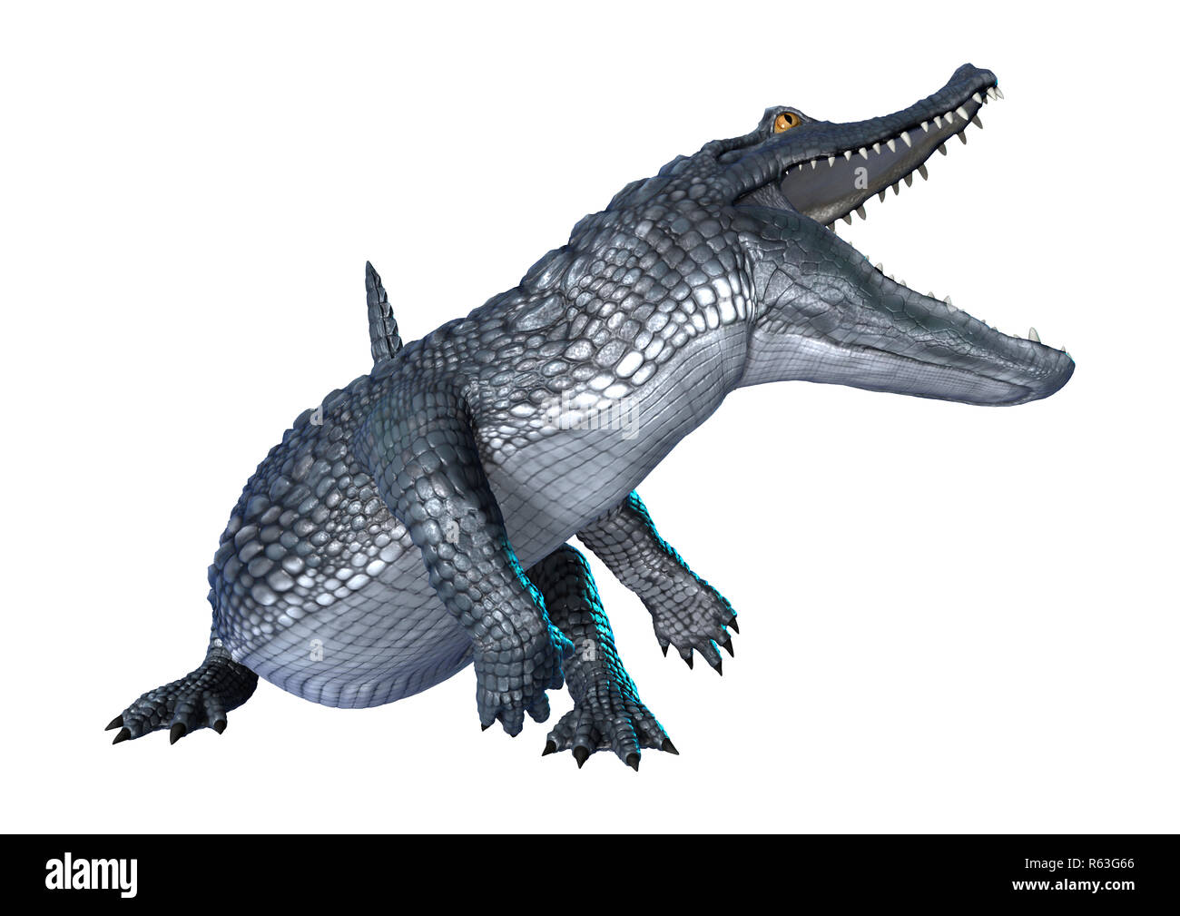 3D Rendering Caimano coccodrillo su bianco Foto Stock