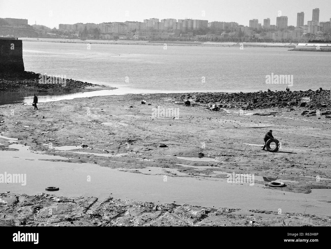 Cinese porto di pesca a Qingdao Foto Stock