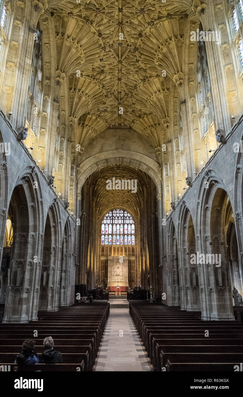 La navata a Sherborne Abbey che mostra la spettacolare Archivio della ventola Foto Stock