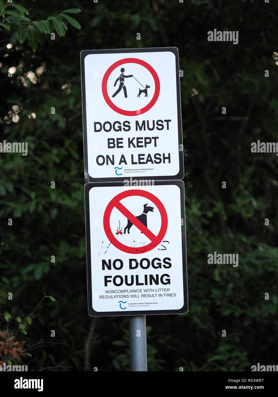 Segno di consigliare i proprietari di cani che i cani devono essere tenuti al guinzaglio e nessun cane di sporcamento. Foto Stock