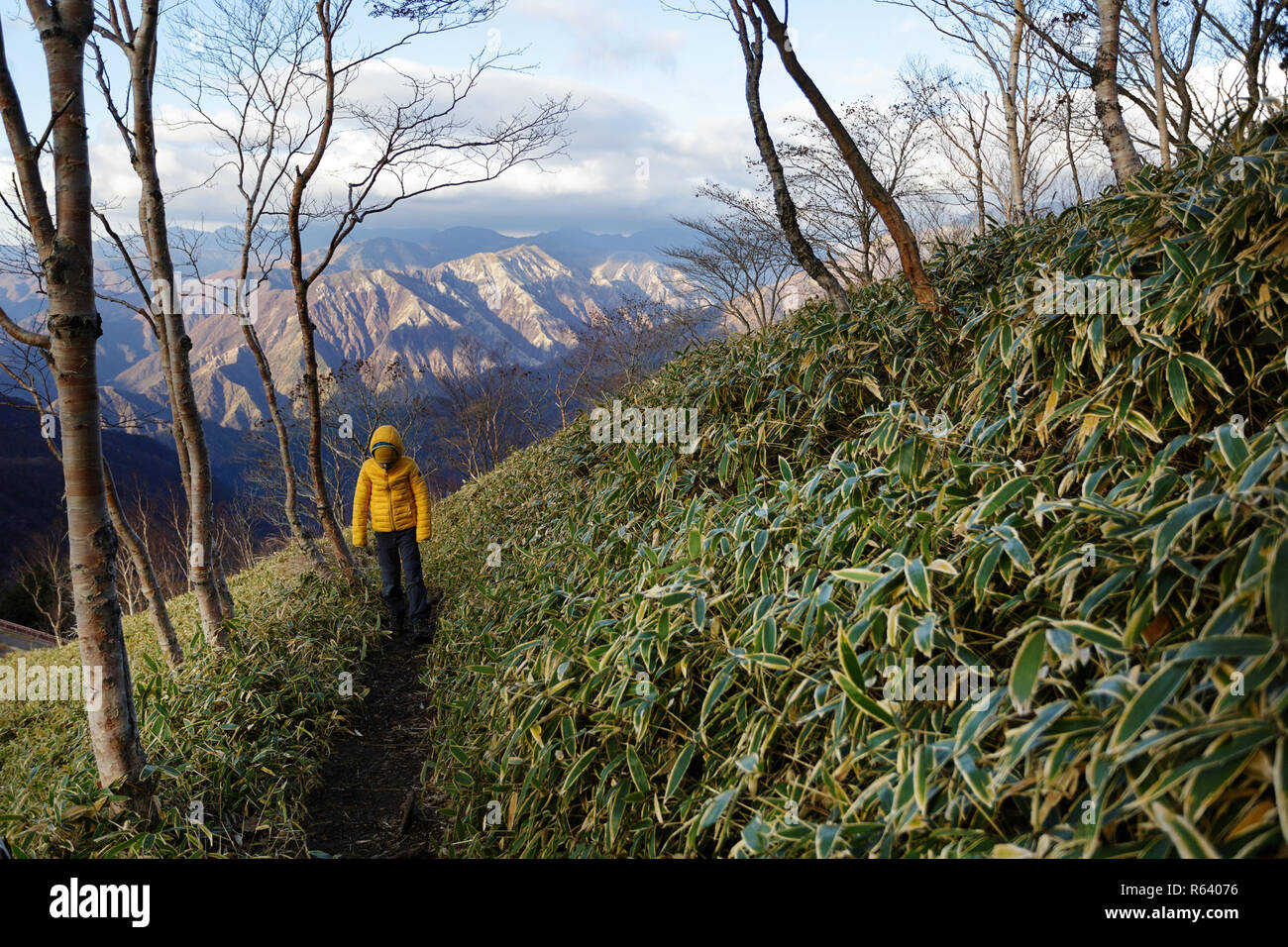 Ragazzo giovane escursionismo su mt l'Hangetsu presso il Lago Chuzenji, Nikko, Giappone Foto Stock