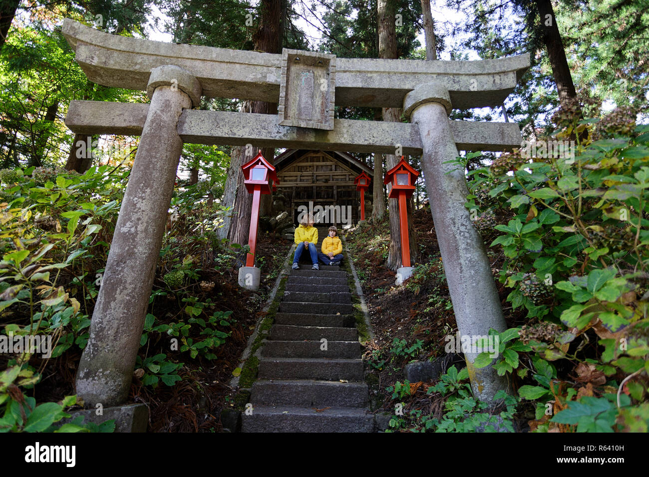 Madre e figlio seduti sulla pietra stairsat torii cancello in legno piccolo sacrario scintoista in una splendida foresta, Honshu, Giappone Foto Stock