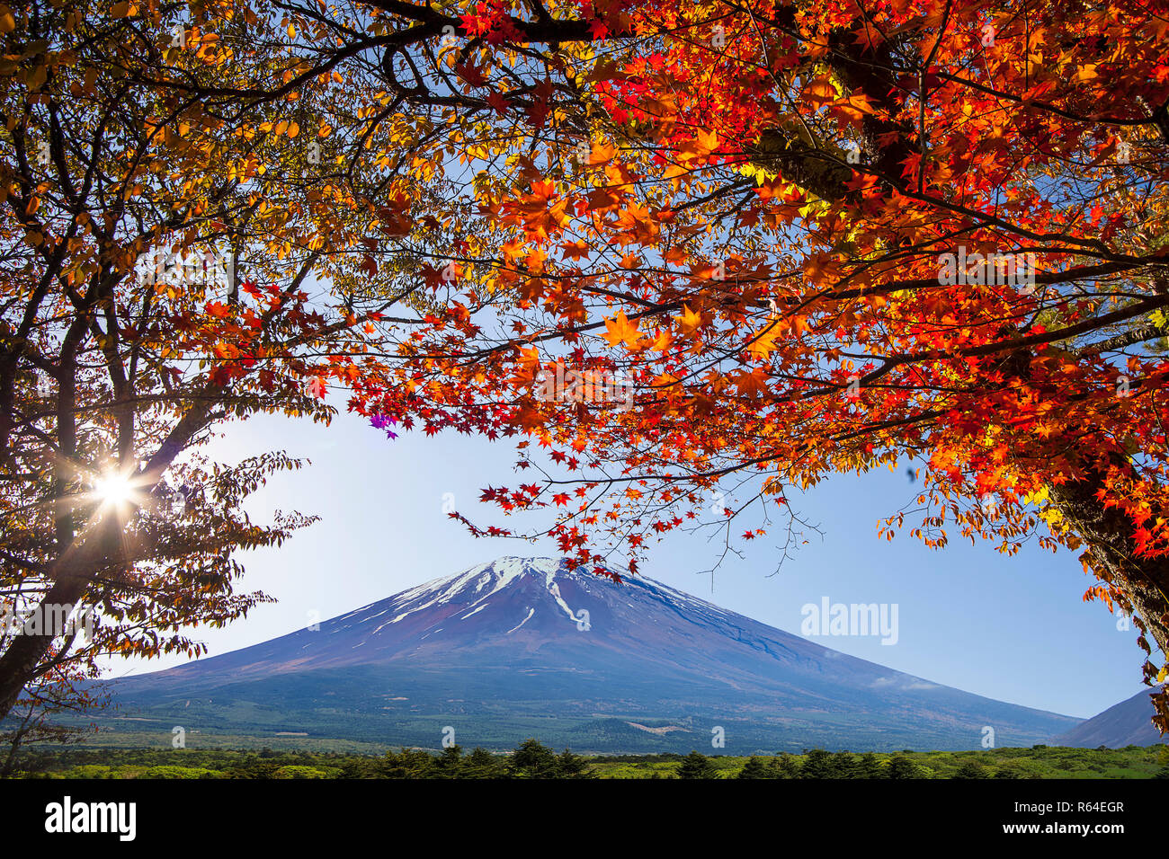 Mt.Fuji in autunno su sunrise al lago Kawaguchiko giappone. Il monte Fuji Foto Stock