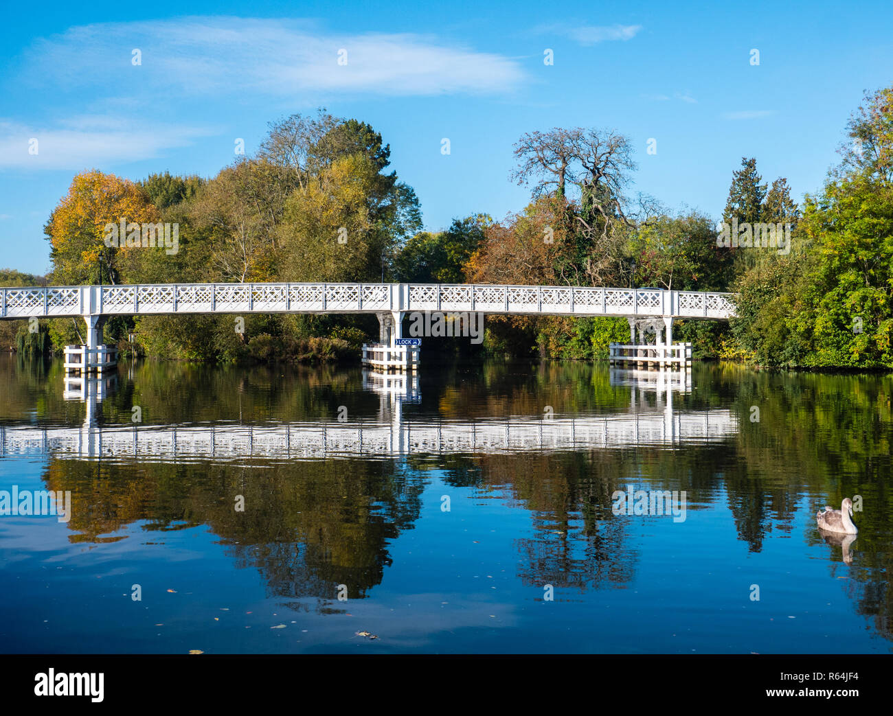 La mattina presto il fiume Tamigi, Whitchurch Bridge, vicino a Pangbourne-on-Thames, Reading, Berkshire Oxfordshire, boarder, England, Regno Unito, GB Foto Stock