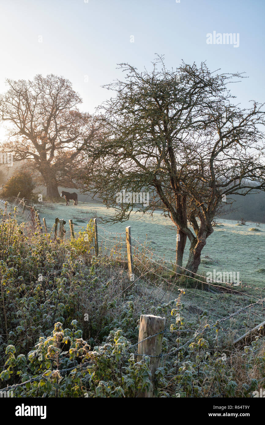 Una mattina fostry nella valle del Wye a Monmouth. Foto Stock