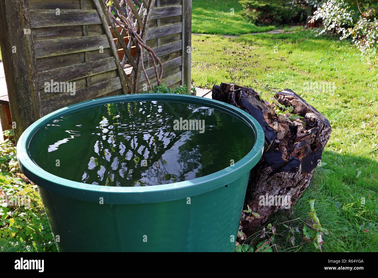 Un barile di pioggia in giardino. L'acqua piovana da una canna di acqua  Foto stock - Alamy