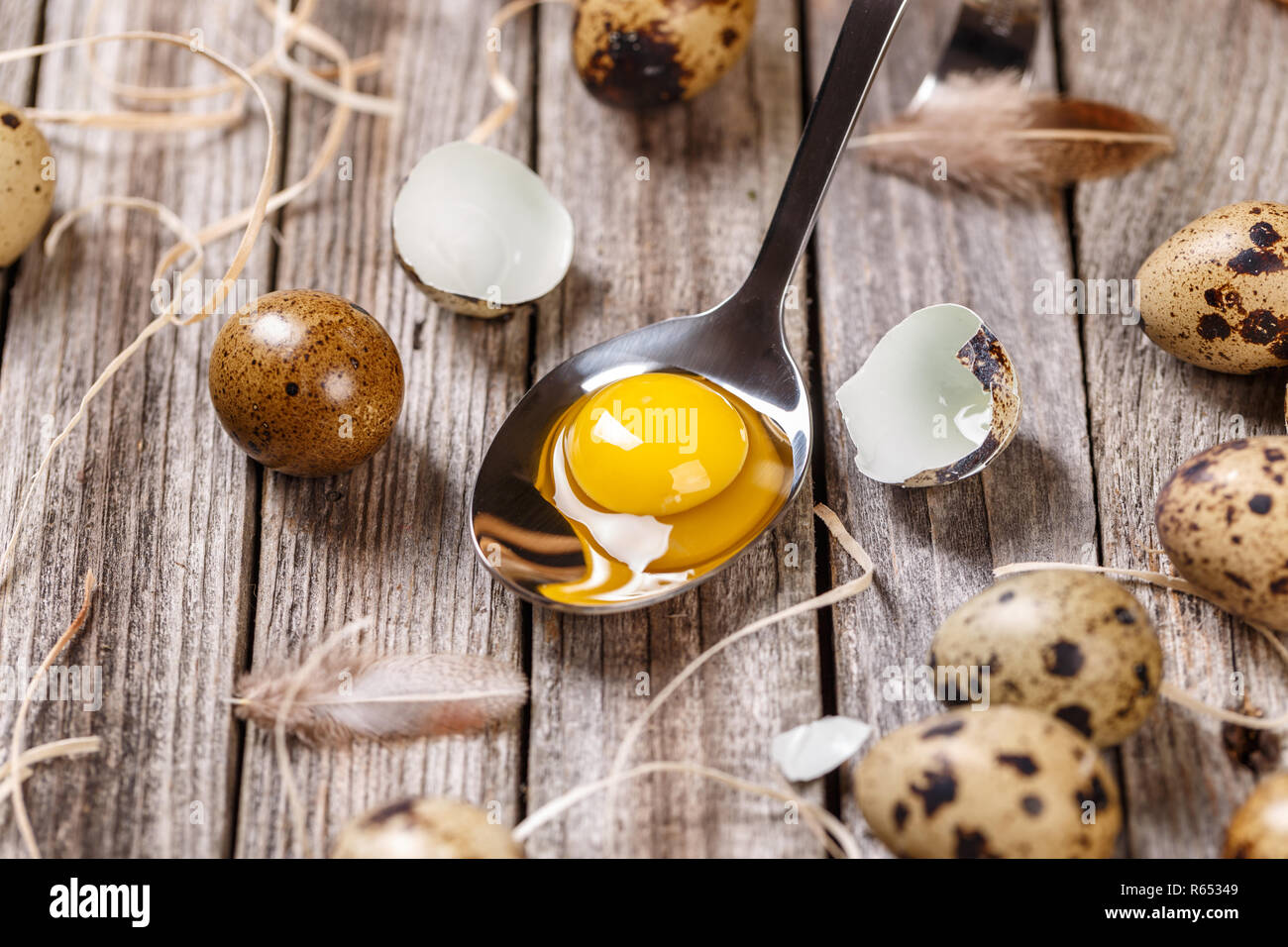 Uovo di quaglia Foto Stock