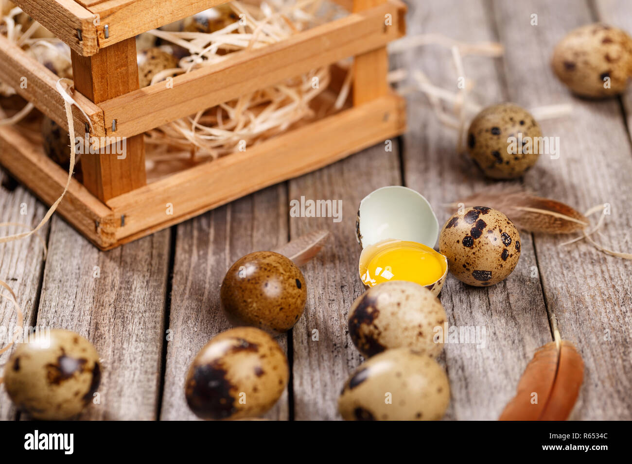 Uovo di quaglia Foto Stock
