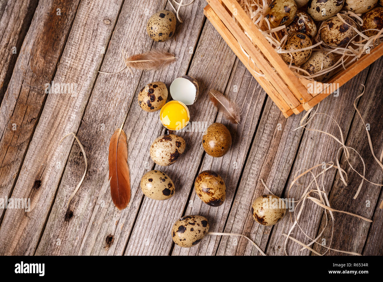 Uovo di quaglia Foto Stock