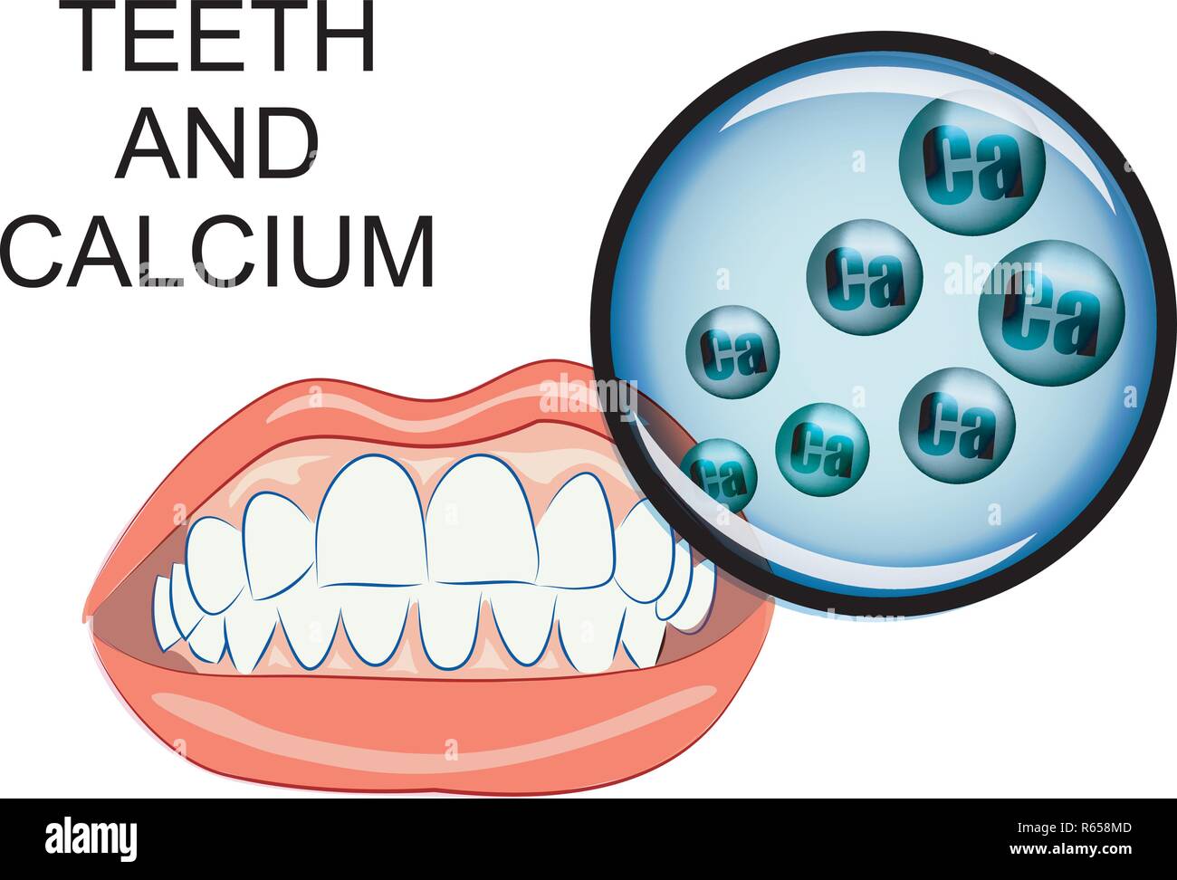 Illustrazione di le gengive sane e denti sani denti e calcio Illustrazione Vettoriale