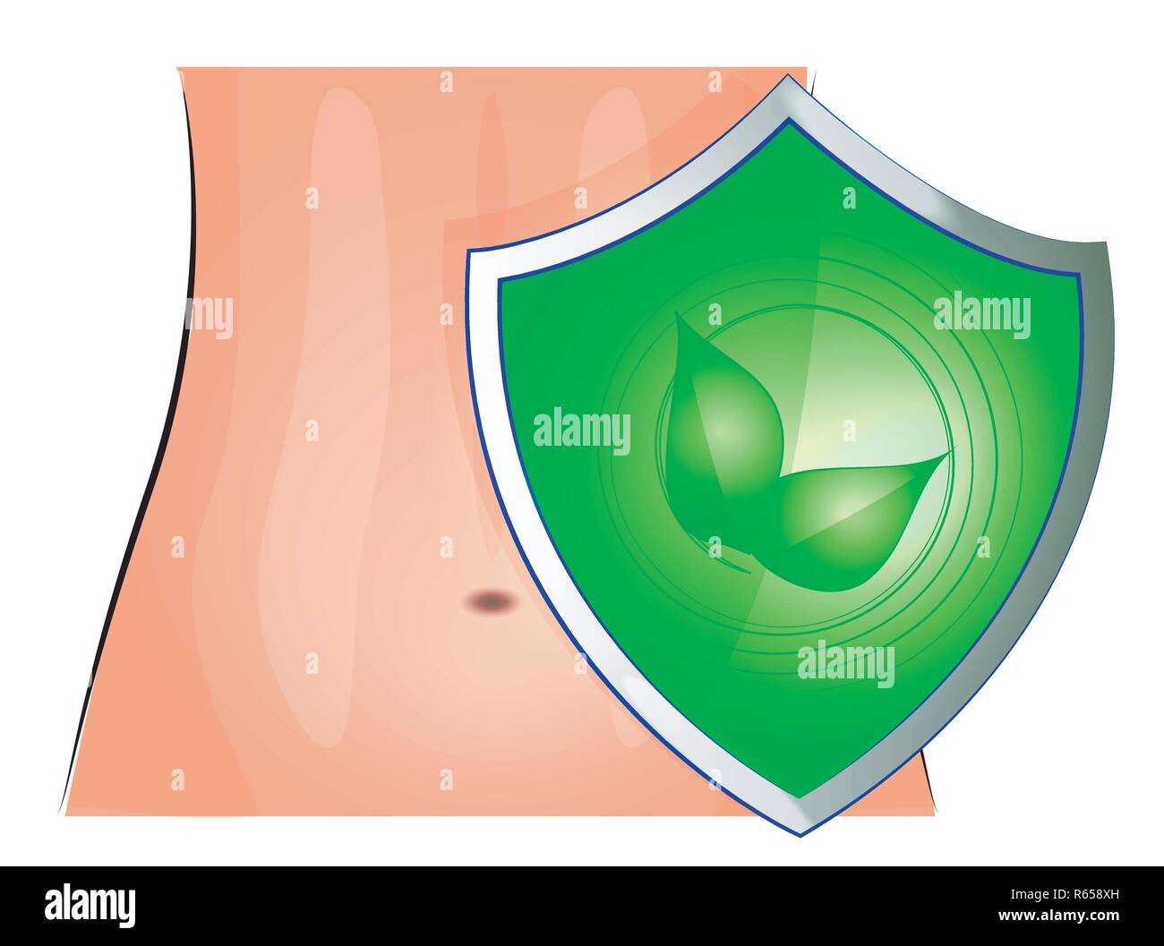 Illustrazione di una femmina di addome e dello scudo che protegge Illustrazione Vettoriale