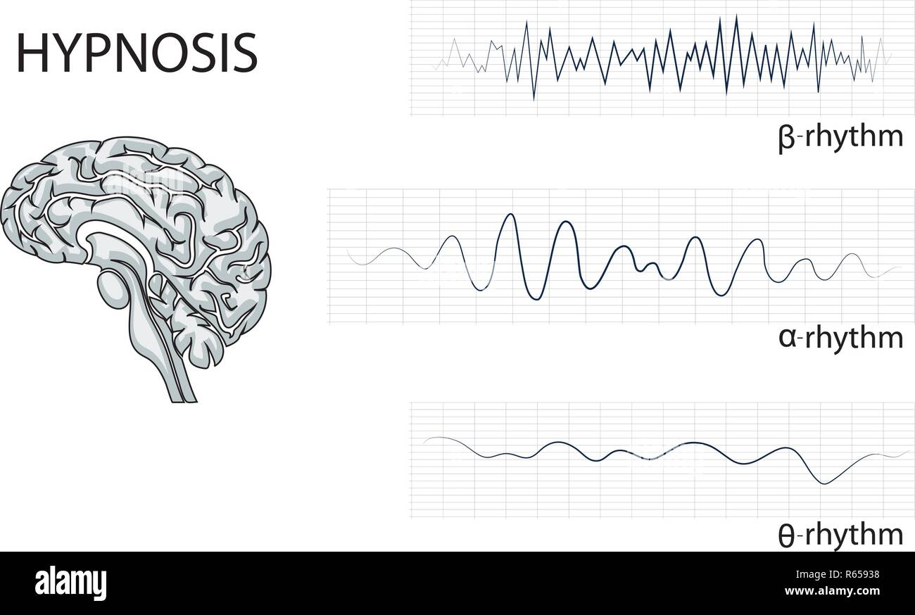Illustrazione del cervello, alfa, beta, theta e ritmo. Illustrazione Vettoriale Illustrazione del cervello, alfa, beta, theta e ritmo. Illustrazione Vettoriale