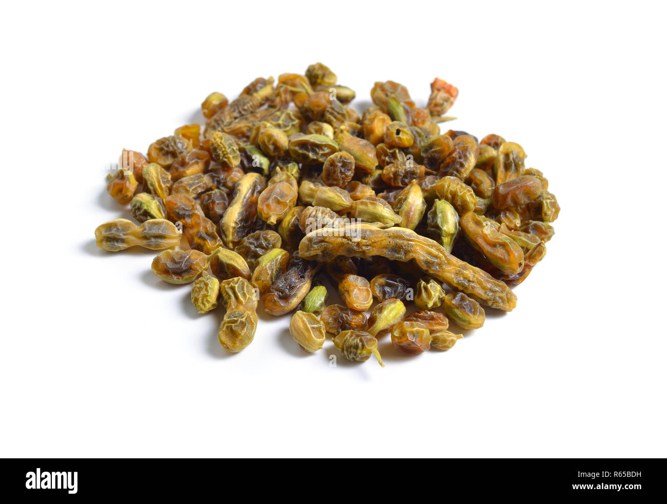 Erbe officinali essiccate materie prime isolato su bianco. Beens di Styphnolobium japonicum, Giapponese pagoda tree, studioso cinese albero, albero pagoda; Soph Foto Stock