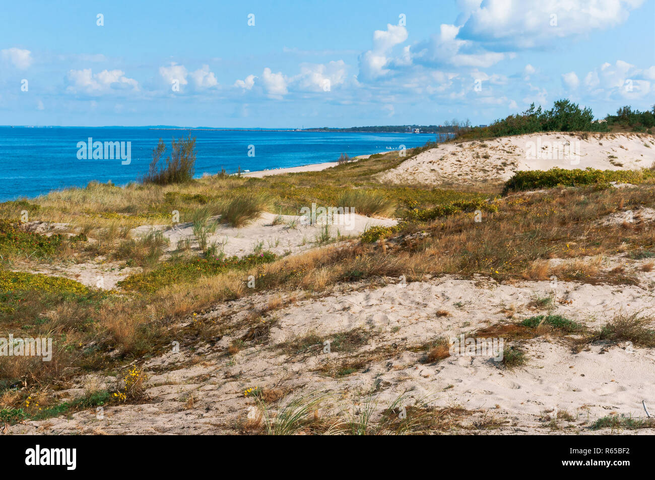 Dune di sabbia ricoperte di erba, sabbiosa costa del mare Foto Stock