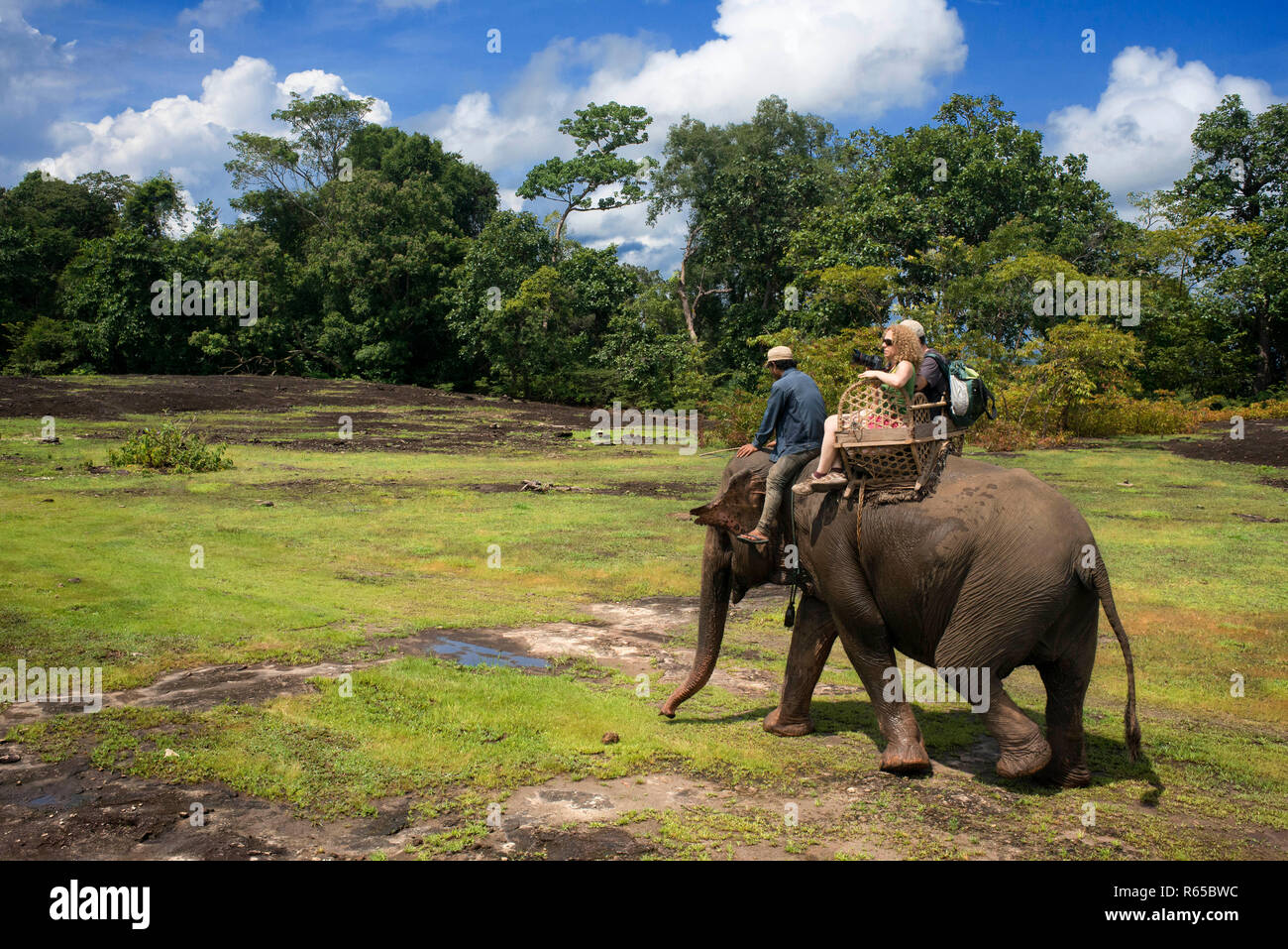 Un turista e mahout cavalcare un elefante in Kiet Ngong, Laos Foto Stock