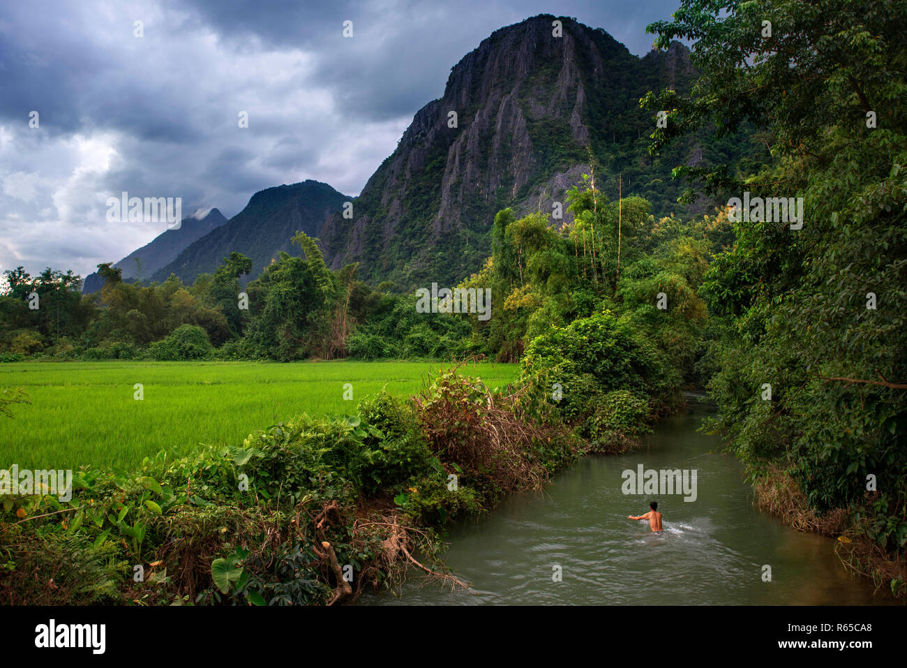 Terrazze di riso piantagione nei pressi Vang Vieng, Laos Foto Stock