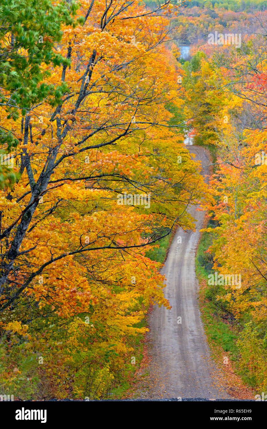 Burnett sul lato della strada in autunno, Manitoulin Island, Ontario, Canada Foto Stock