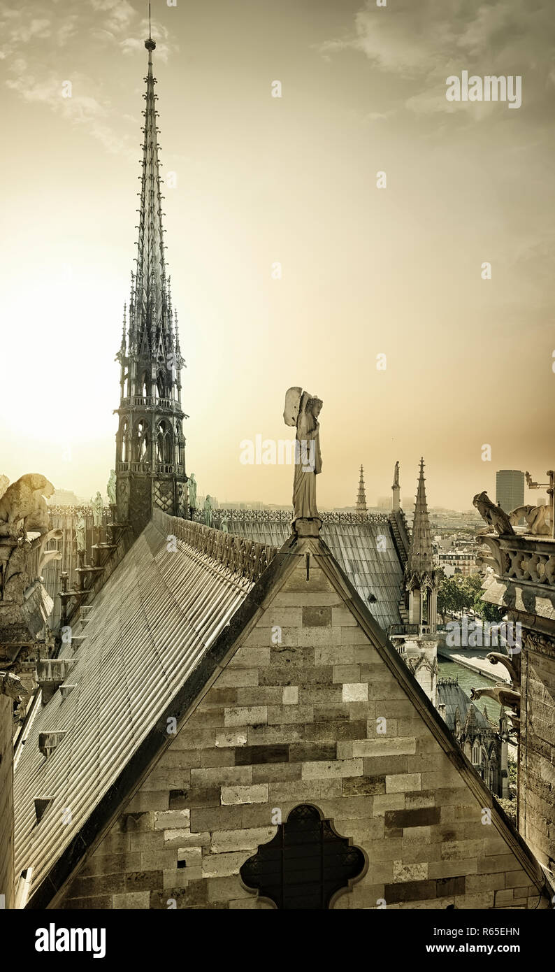 Notre Dame vista aerea Foto Stock