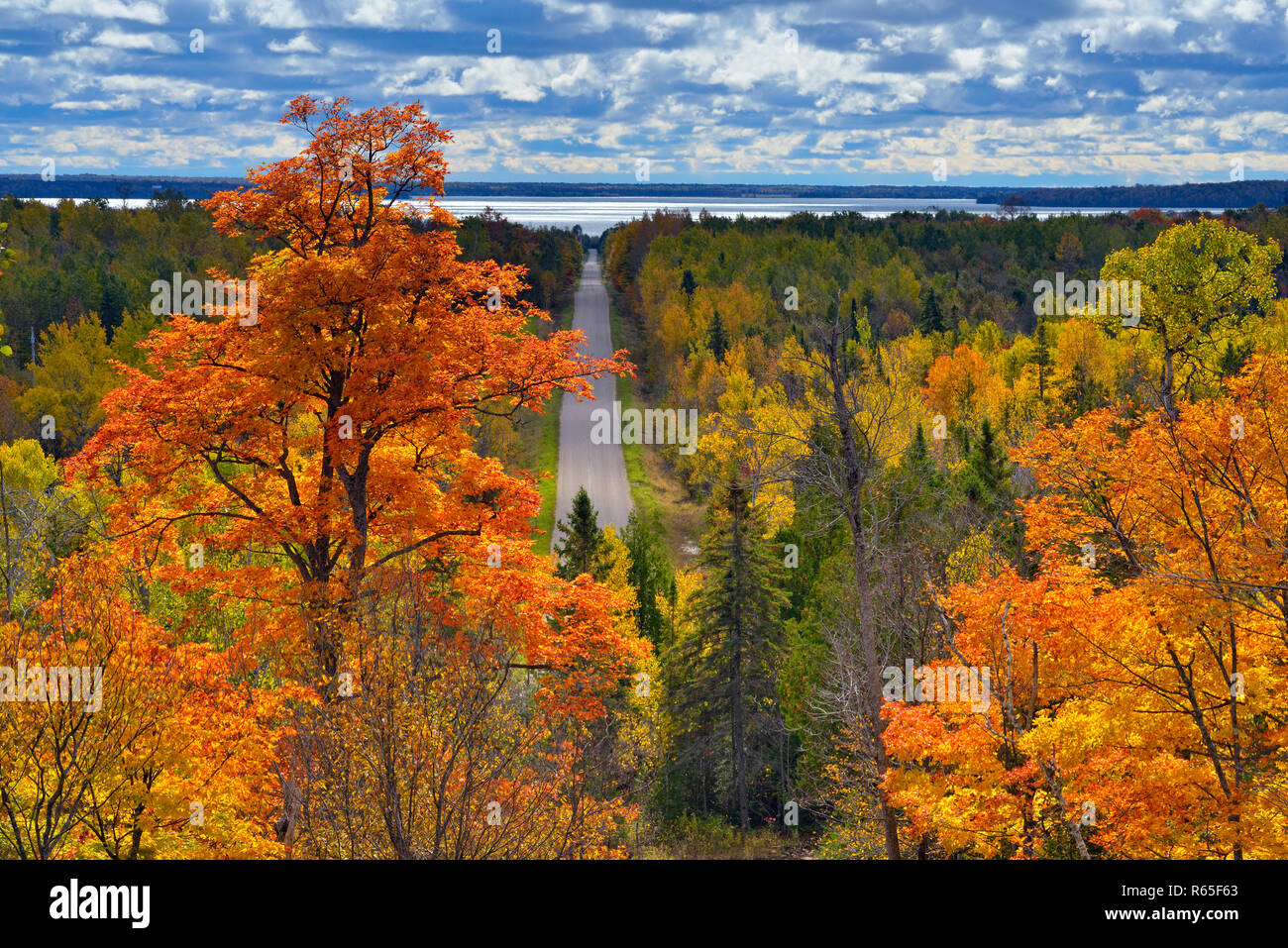 In autunno gli alberi di acero monumento affacciato sulla strada che da Gerusalemme Hill, Manitoulin Island, Ontario, Canada Foto Stock