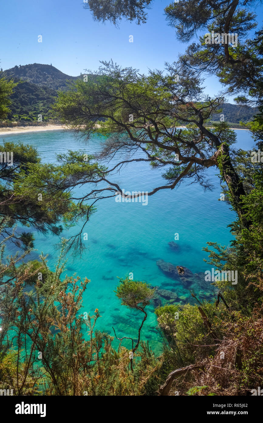 Visualizzazione traccia nel Parco Nazionale Abel Tasman, Nuova Zelanda Foto Stock