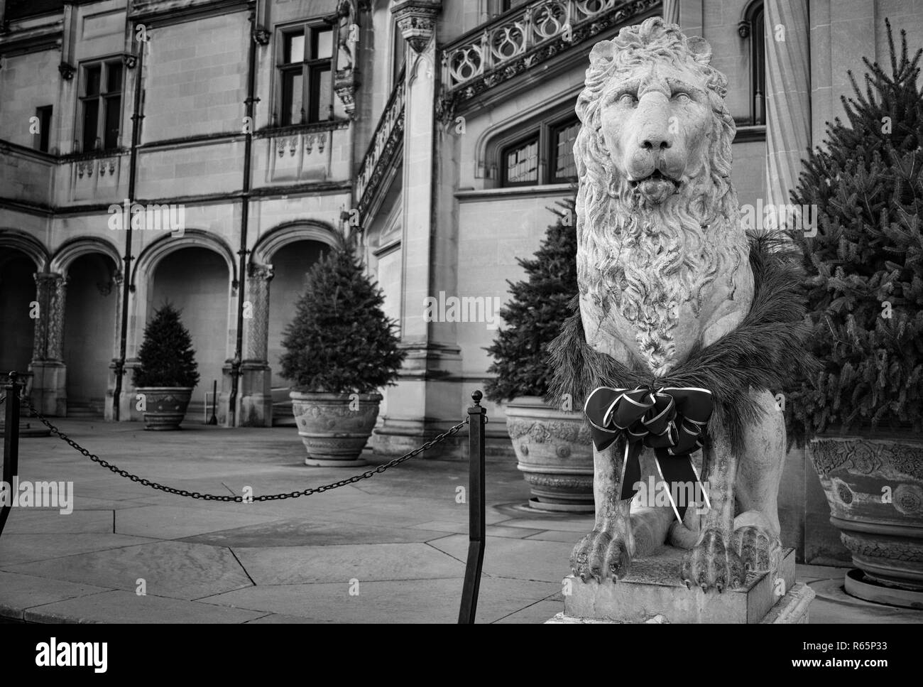 La guardia iconica statua Leone guarda tanto nobile e sciocco nel suo Natale prua al Biltmore Estate in Asheville, NC, Stati Uniti d'America Foto Stock