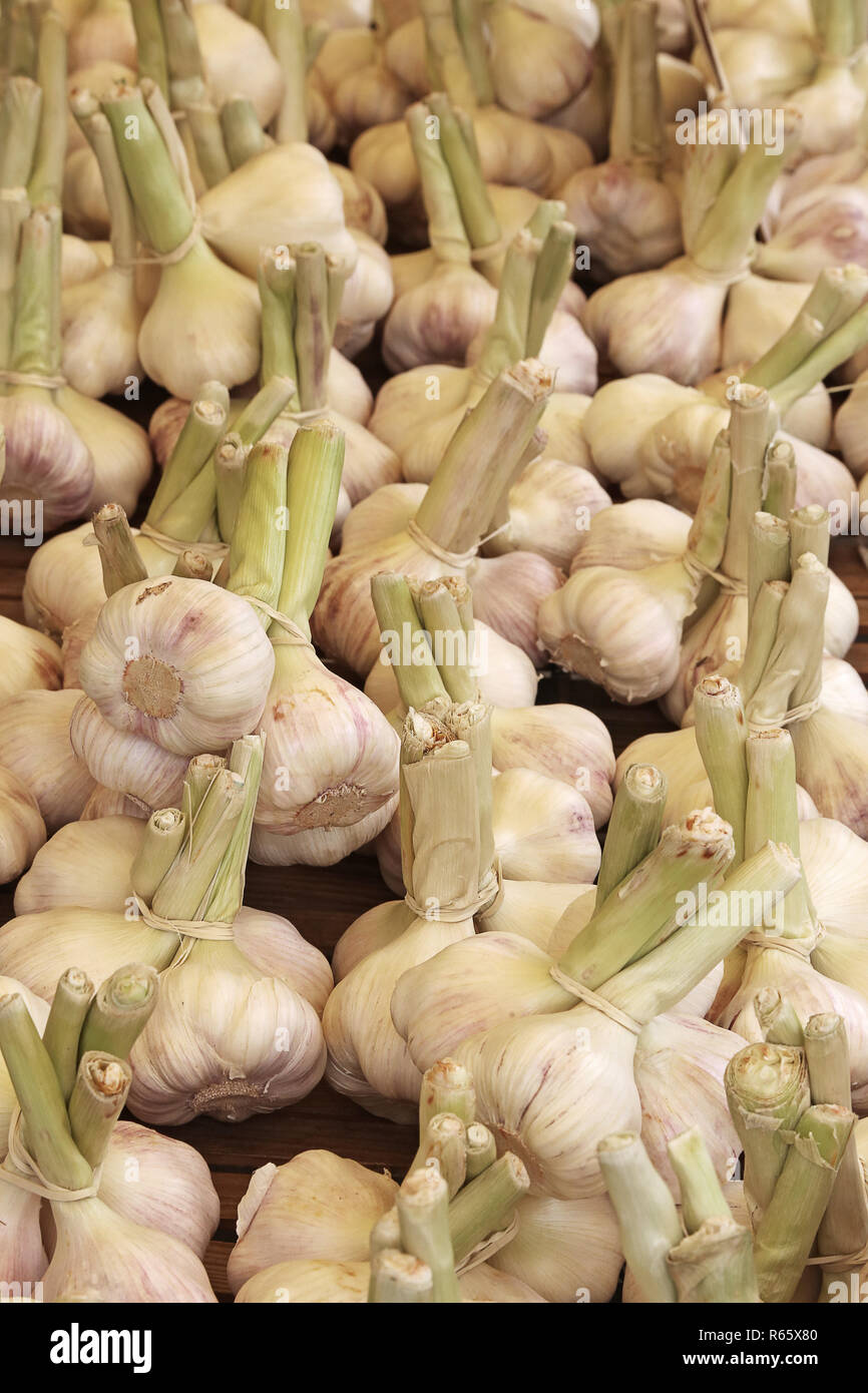 Bulbi di aglio sul mercato ortofrutticolo Foto Stock