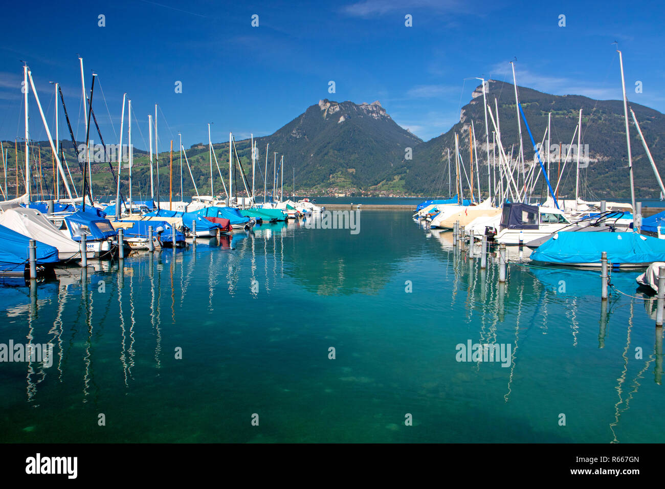 Marina sul Lago di Thun a Faulensee Foto Stock