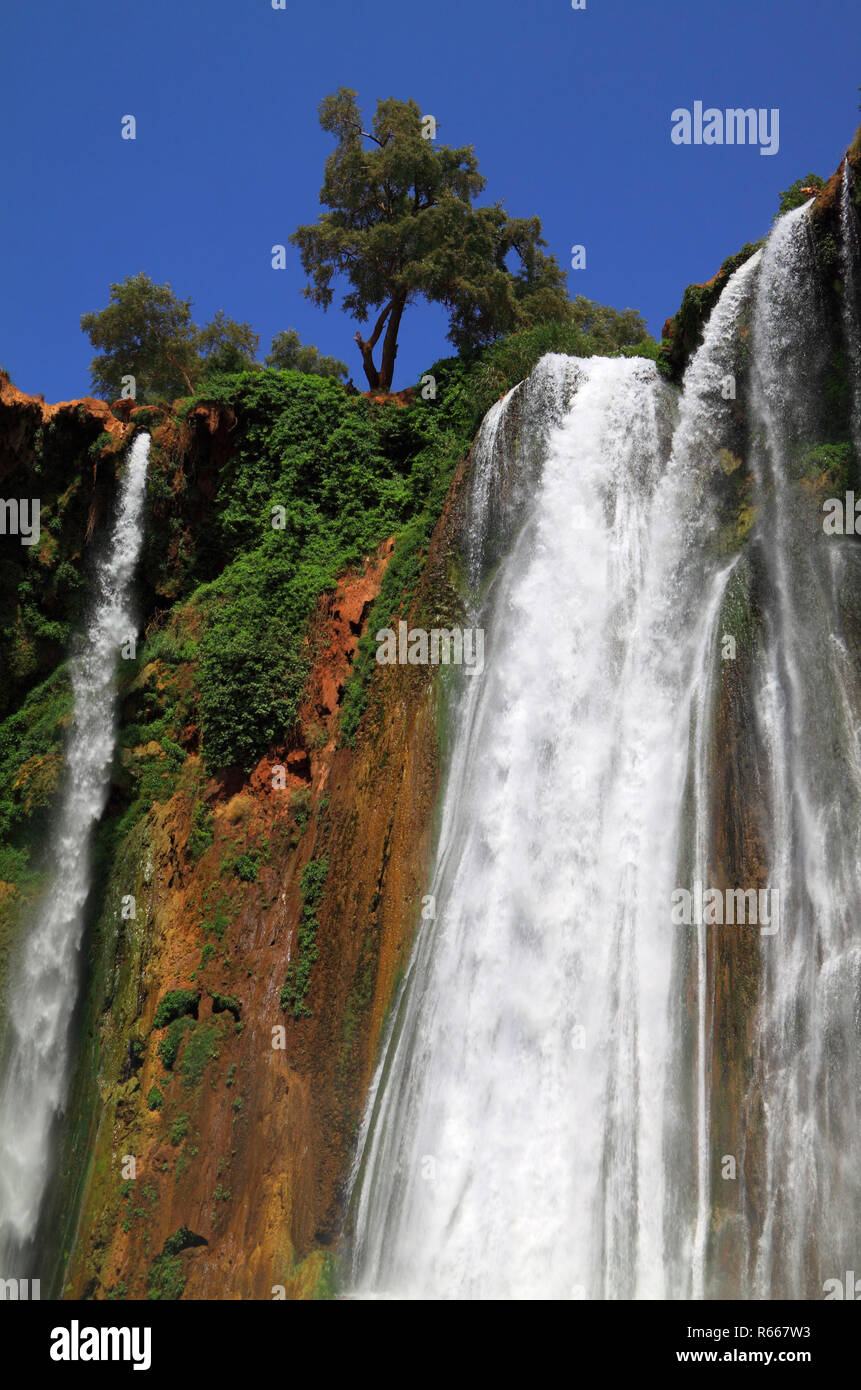 Il Marocco Escursione Cascate Ouzoud Foto Stock