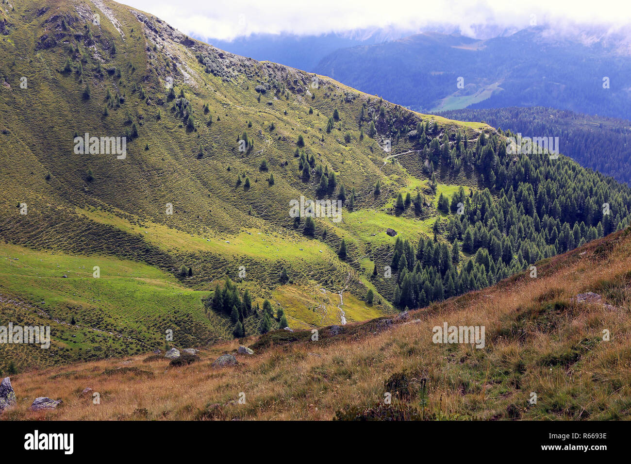 Paesaggio delle Alpi Carniche vicino Sesto Foto Stock
