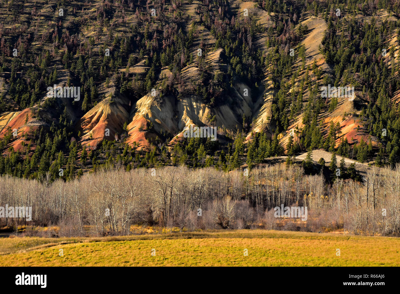 Dipinto di colline appena a nord di Cache Creek, BC, Canada Foto Stock