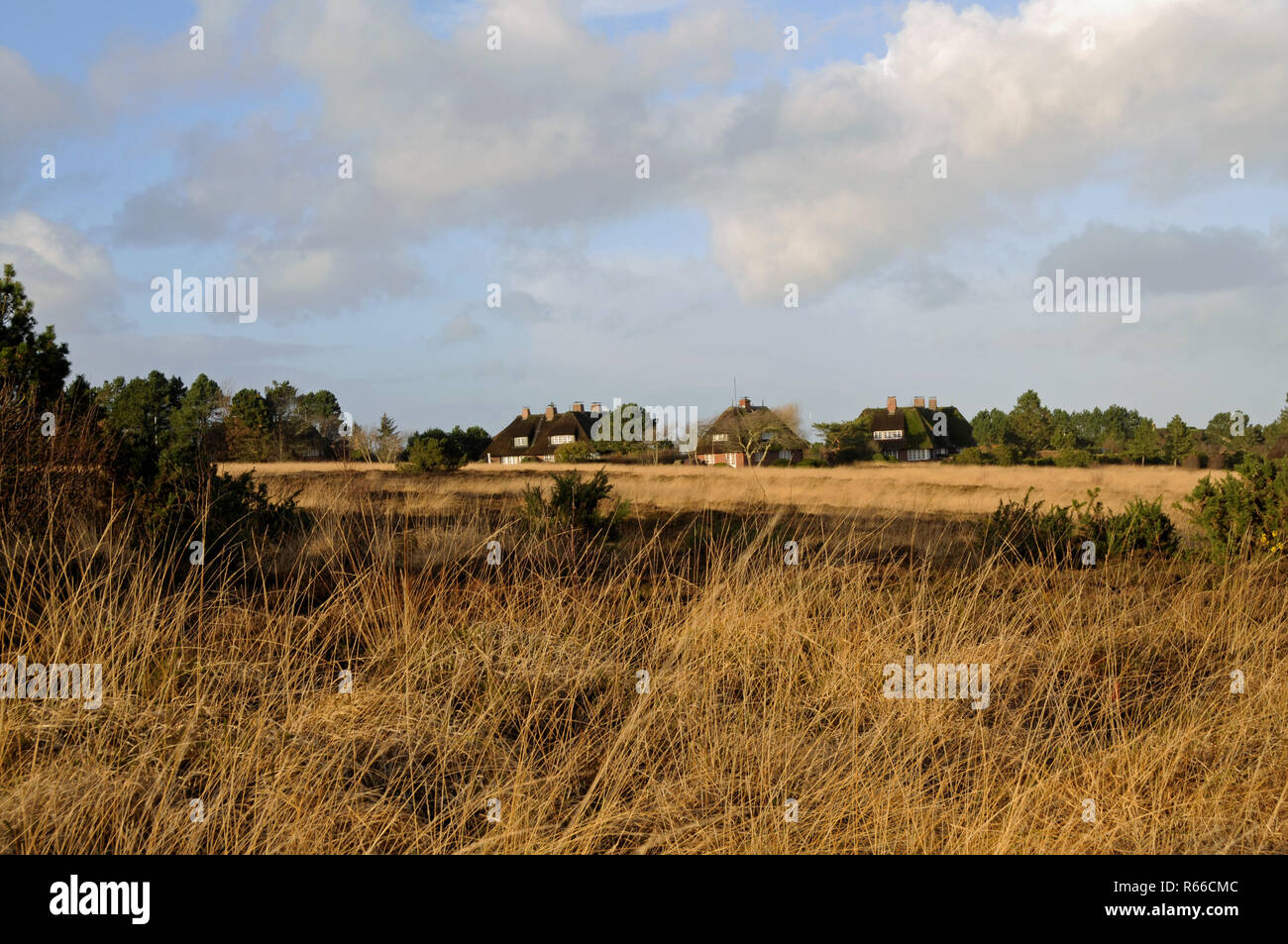 paesaggi Foto Stock