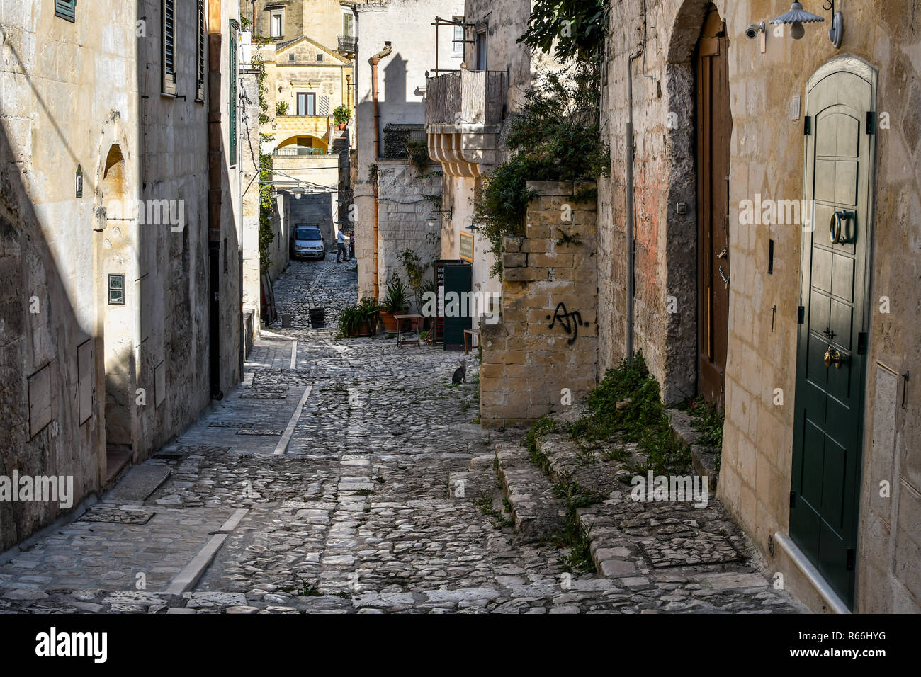 Un gatto randagio è visto a distanza su un ombreggiato back street nella città antica di Matera, Italia nella regione Basilicata. Foto Stock