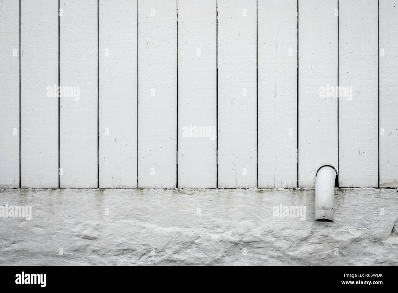 Tubo piccolo suggerimento spuntavano di un bianco recinzione di legno Foto Stock