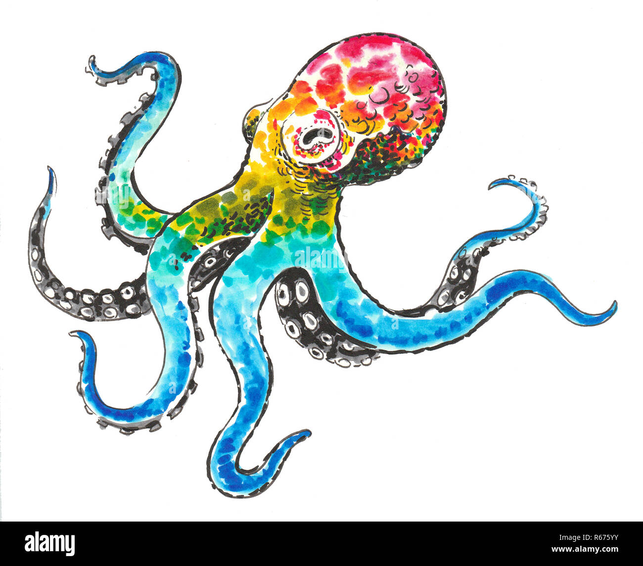 Color arcobaleno octopus animale. Inchiostro e disegno ad acquerello Foto Stock