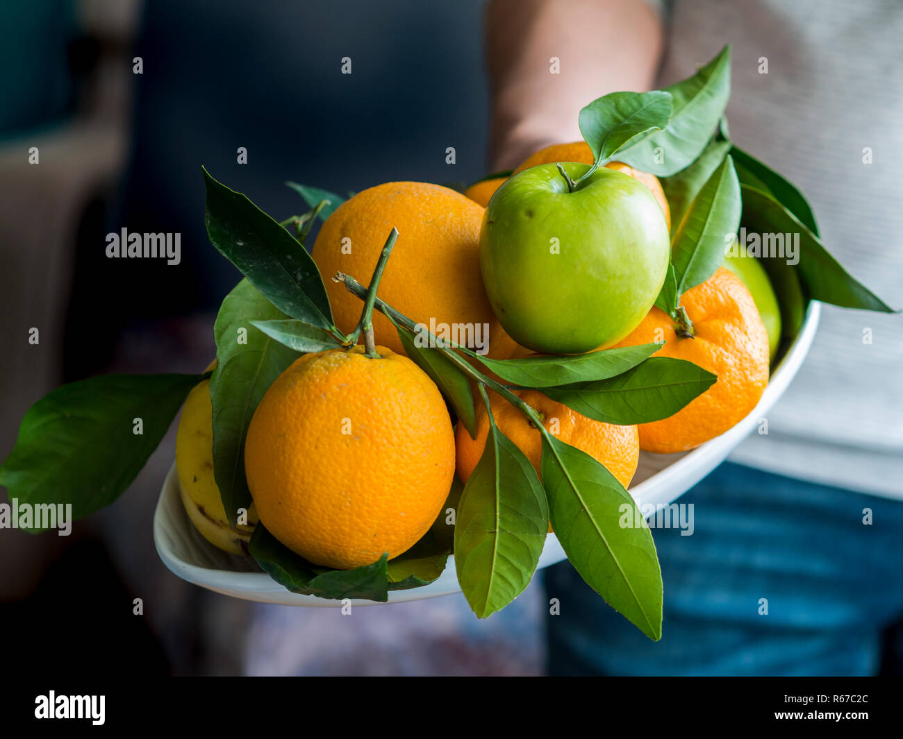 Tenendo un piatto di frutta nelle sue mani. Mandarino, arancia, mela e banana in piastra bianca. Foto Stock