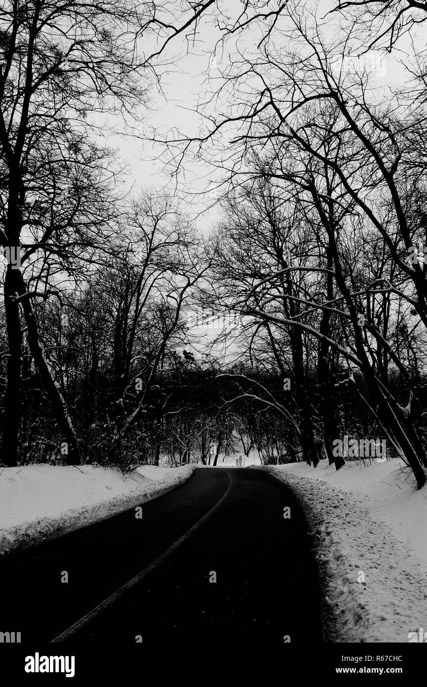 Vista di una strada in inverno Foto Stock