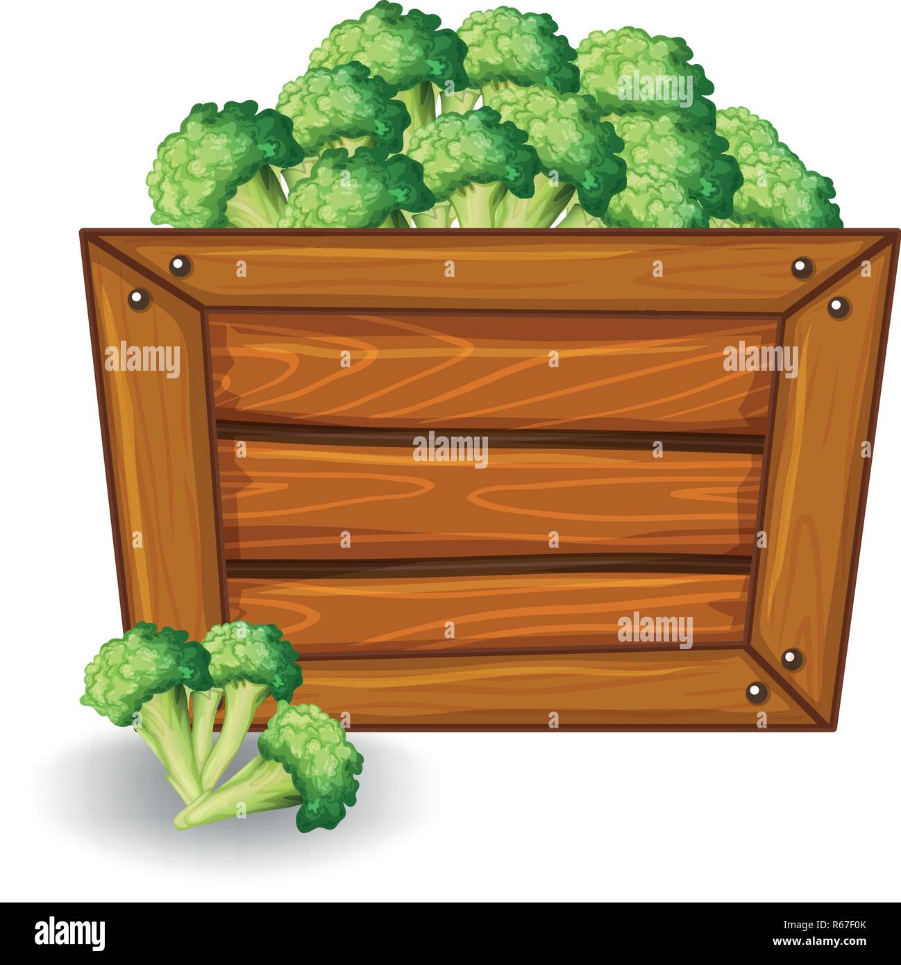 Broccoli sul banner di legno illustrazione Illustrazione Vettoriale