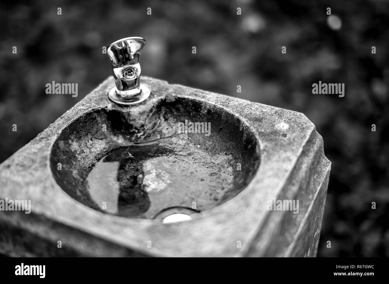 Fontanella nel parco Foto Stock