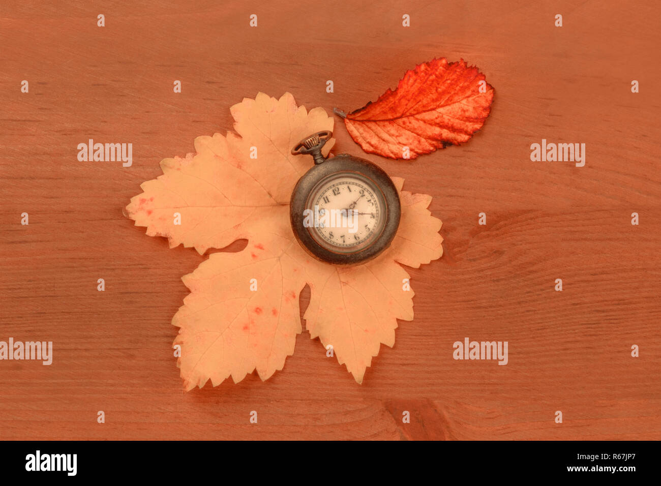 Un vintage orologio da tasca con foglie di autunno, girato da sopra al buio su un rustico sfondo di legno con copia spazio, dai toni seppia immagine Foto Stock