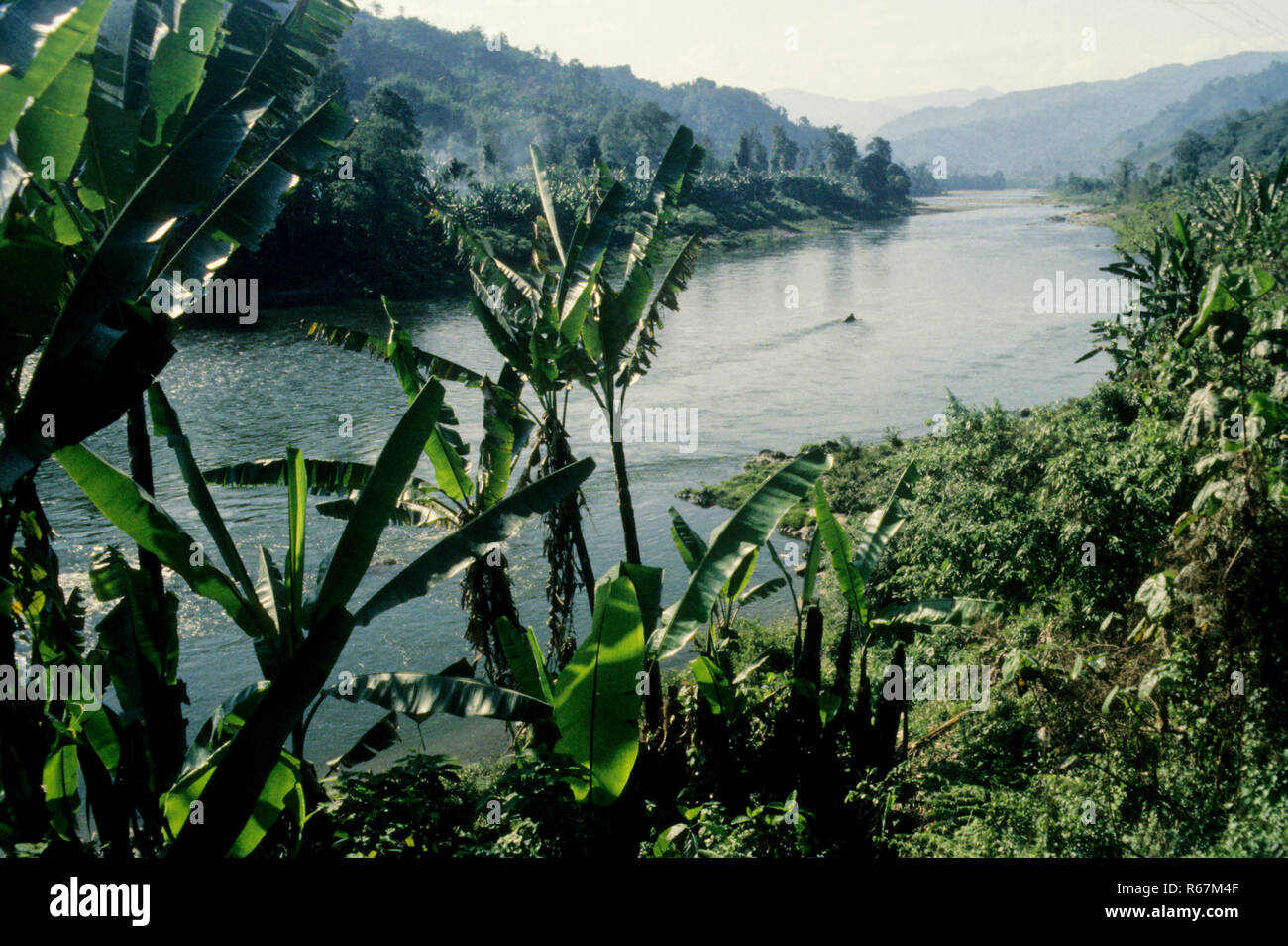 Scena di fiume, Arunachal Pradesh, India Foto Stock