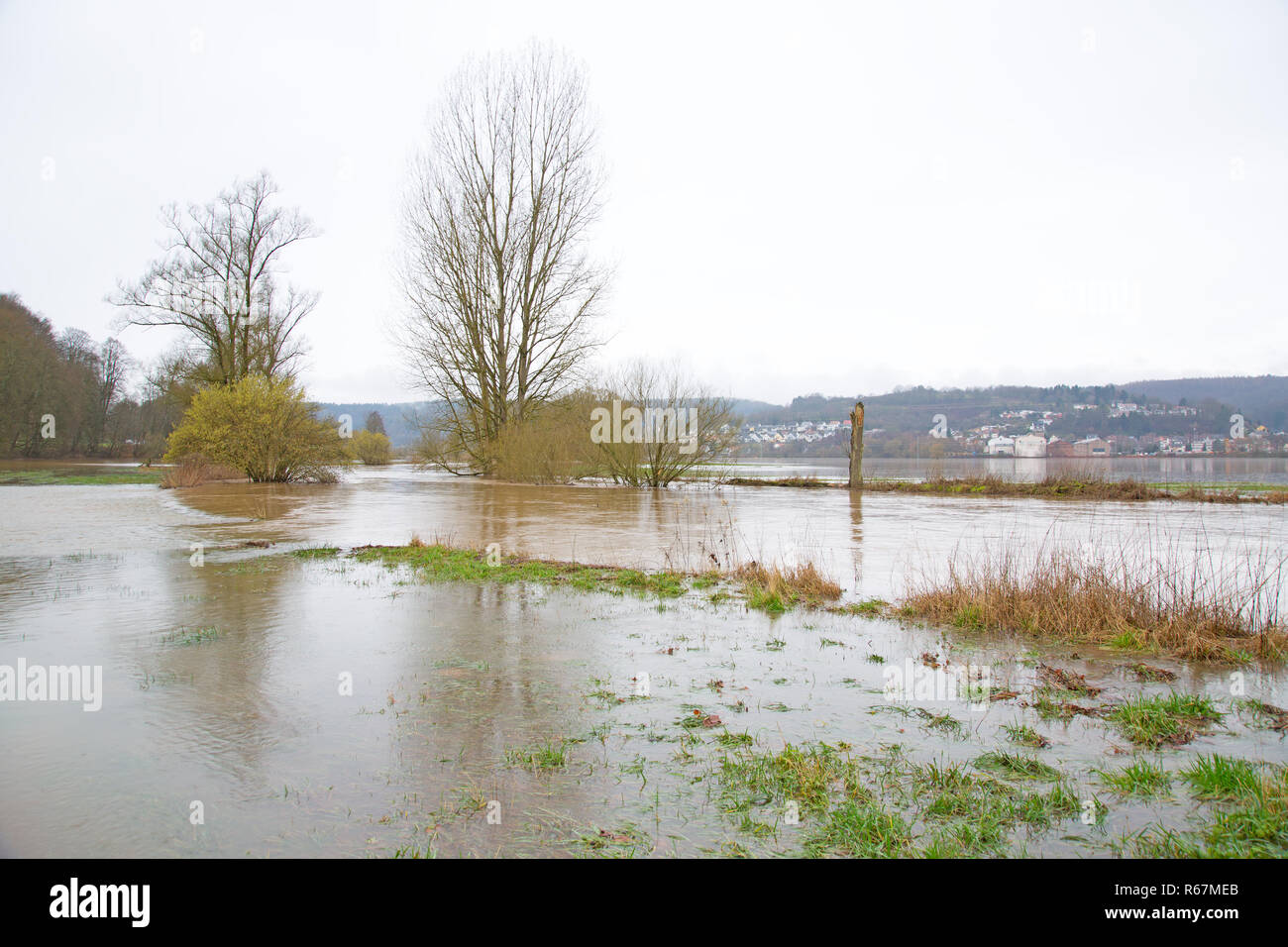 Blies e floodplain paesaggio in bliesgau vicino webenheim come un area di inondazione Foto Stock