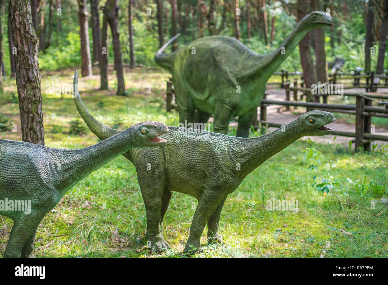 Diplodocus head immagini e fotografie stock ad alta risoluzione Alamy