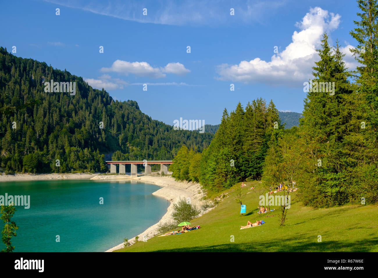 Bagnanti sul prato per prendere il sole a diga Sylvenstein, lago di Sylvensteinsee, vicino Lenggries, Isarwinkel, Alta Baviera, Baviera, Germania Foto Stock