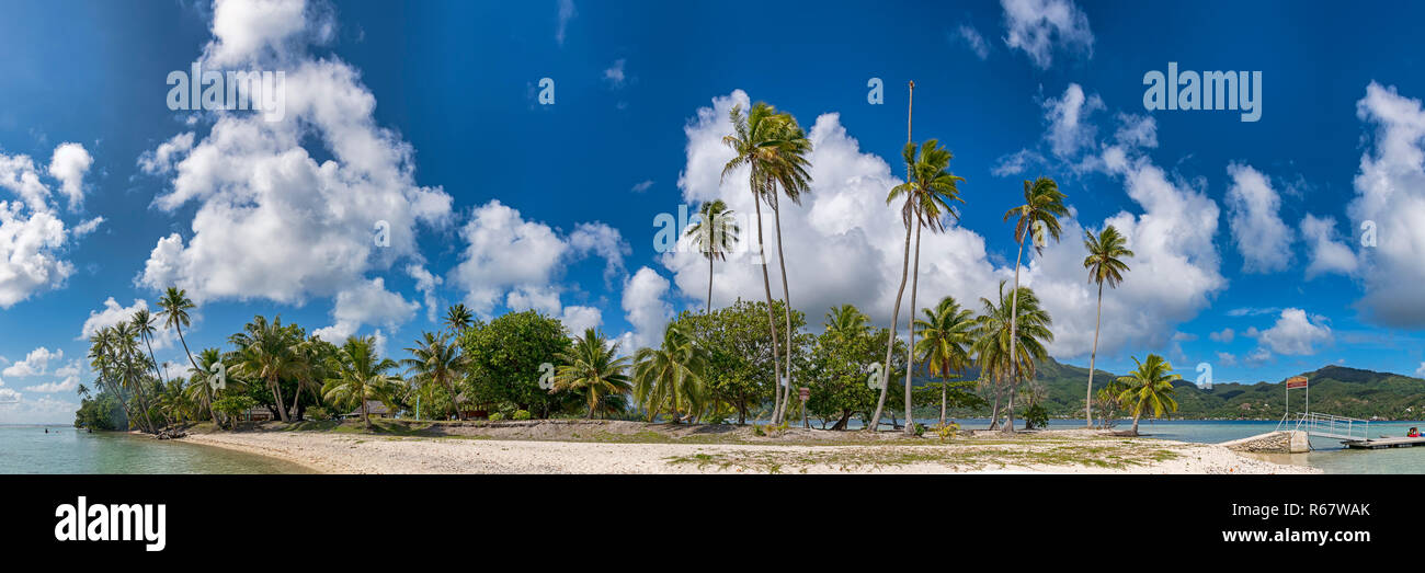 Panorama, Palm Beach, Motu Ofetaro Isola Raiatea, Polinesia Francese Foto Stock