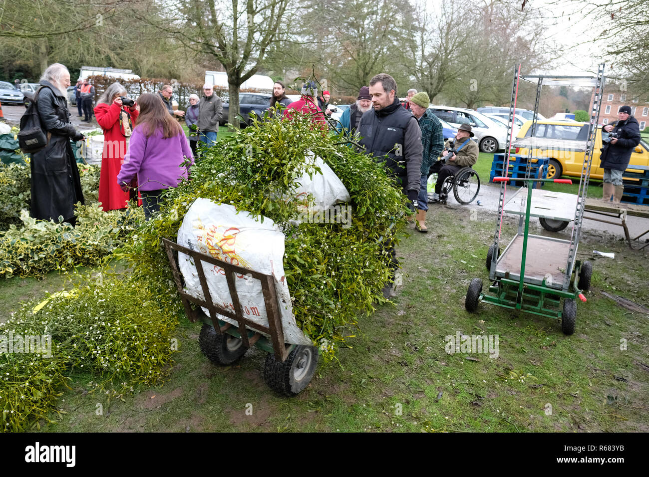 Burford House, Tenbury Wells, Worcestershire, Regno Unito - Martedì 4 dicembre 2018 - Natale agrifoglio e vischio asta - Aste di vischio si sono svolti a Tenbury Wells per oltre 160 anni. Gli acquirenti portare via i loro fasci di vischio- Photo Steven Maggio / Alamy Live News Foto Stock