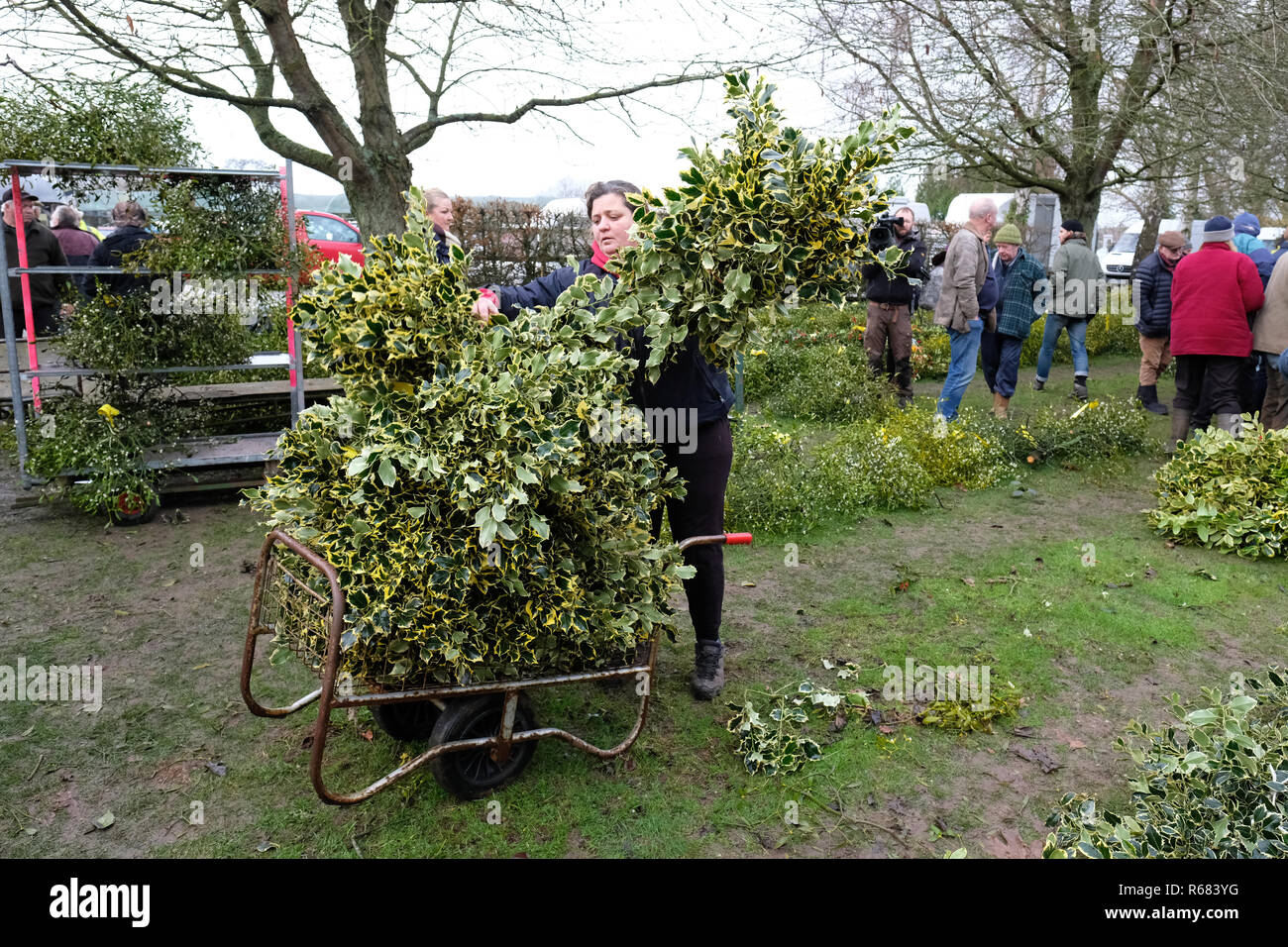 Burford House, Tenbury Wells, Worcestershire, Regno Unito - Martedì 4 dicembre 2018 - Natale agrifoglio e vischio asta - Aste di vischio si sono svolti a Tenbury Wells per oltre 160 anni. Gli acquirenti portare via i loro fasci di holly - alcuni acquirenti hanno viaggiato da lontano come Kent, Norfolk e Lancashire. Foto Steven Maggio / Alamy Live News Foto Stock