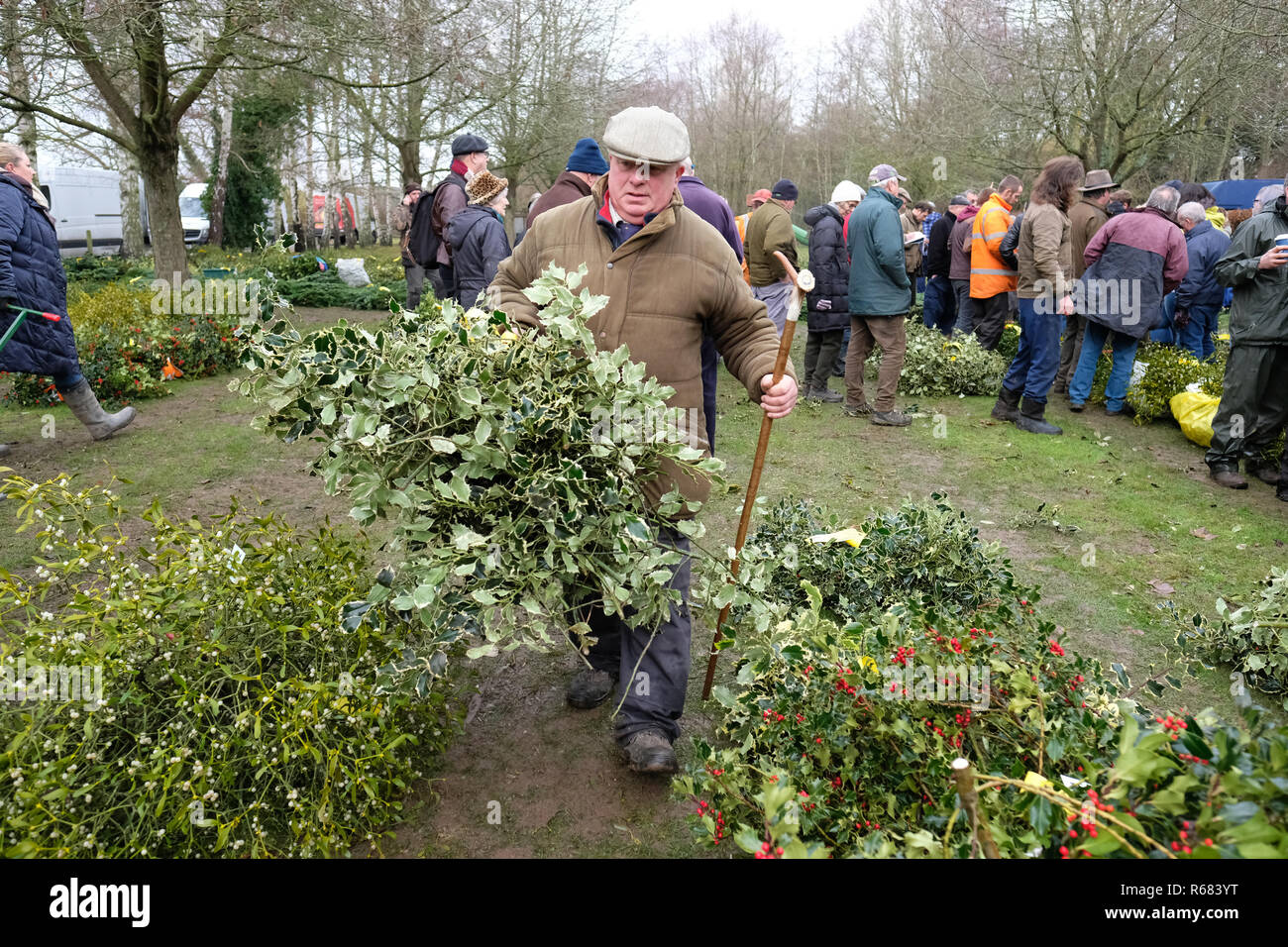 Burford House, Tenbury Wells, Worcestershire, Regno Unito - Martedì 4 dicembre 2018 - Natale agrifoglio e vischio asta - Aste di vischio si sono svolti a Tenbury Wells per oltre 160 anni. Gli acquirenti portare via i loro fasci di holly - alcuni acquirenti hanno viaggiato da lontano come Kent, Norfolk e Lancashire. Foto Steven Maggio / Alamy Live News Foto Stock