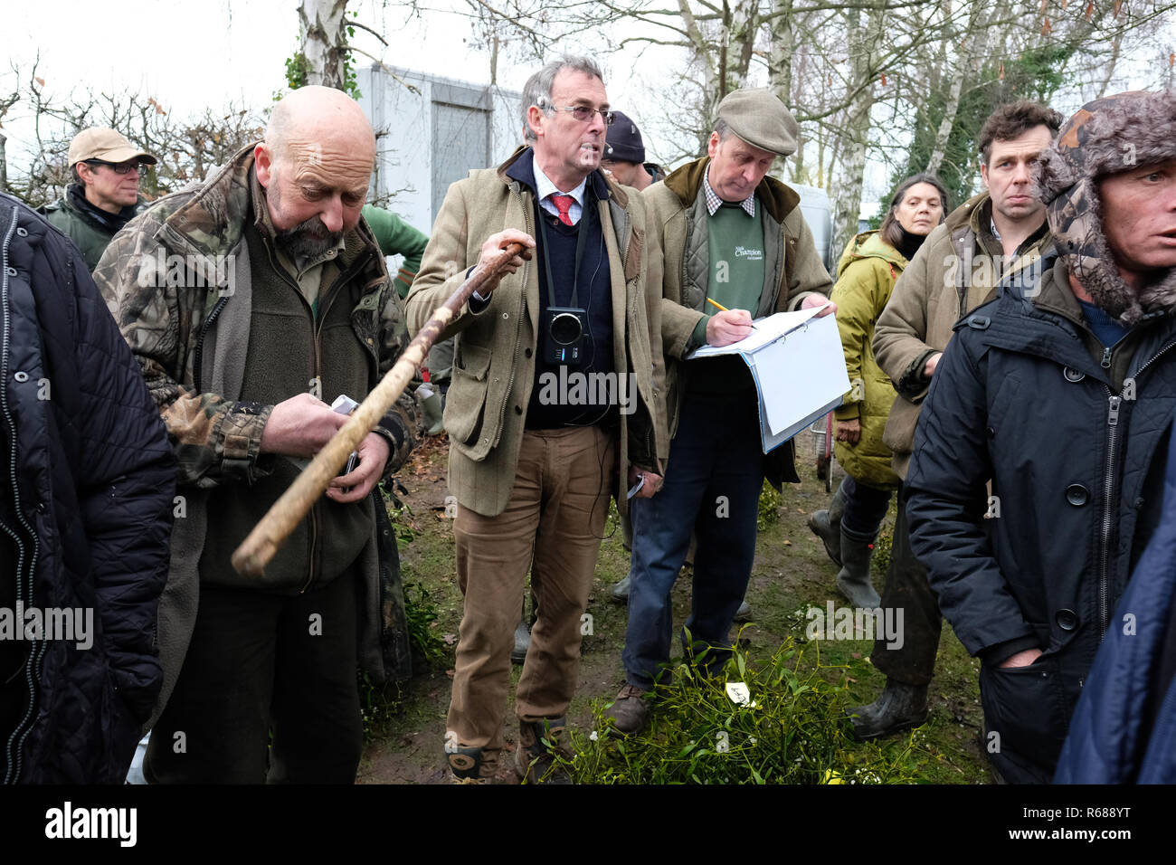 Burford House, Tenbury Wells, Worcestershire - Martedì 4 dicembre 2018 - Natale agrifoglio e vischio asta - Aste di vischio si sono svolti a Tenbury Wells per oltre 160 anni. Banditore Nick Champion center con aste stick fasci di vischio - alcuni acquirenti hanno viaggiato da lontano come Kent, Norfolk e Lancashire. Foto Steven Maggio / Alamy Live News Foto Stock