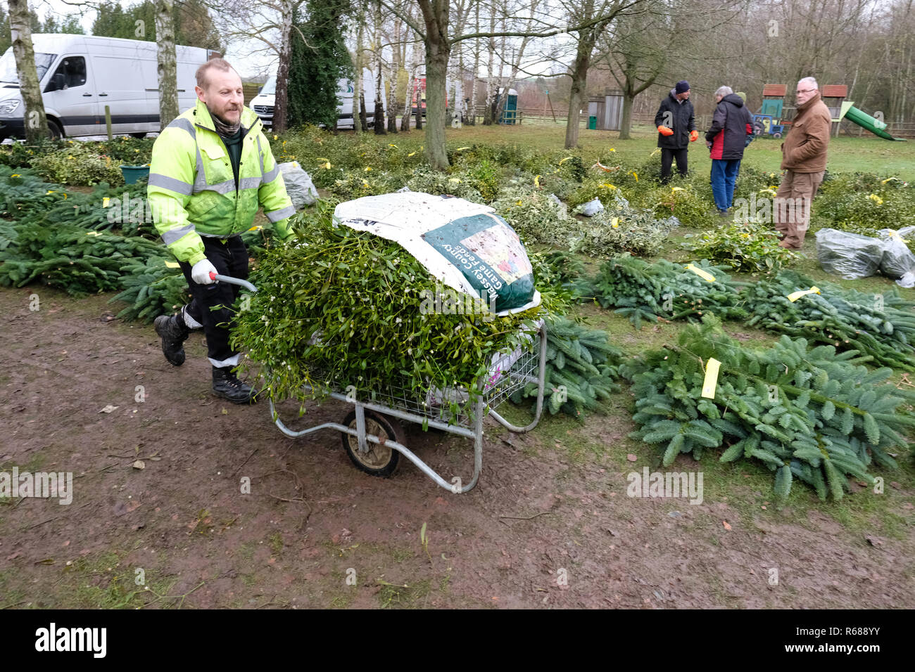 Burford House, Tenbury Wells, Worcestershire - Martedì 4 dicembre 2018 - Natale agrifoglio e vischio asta - Aste di vischio si sono svolti a Tenbury Wells per oltre 160 anni. Un acquirente prende subito il suo carro pieno di vischio in un freddo inverno mattina. Foto Steven Maggio / Alamy Live News Foto Stock