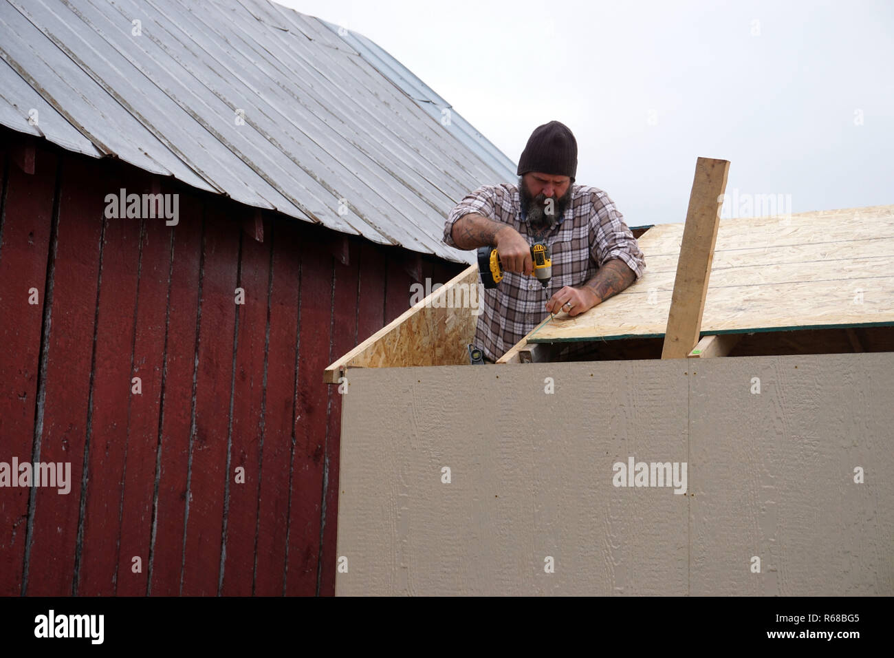 Carpenter installazione tetto su capannone Foto Stock